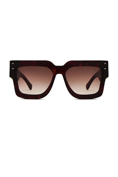 Jumbo MA Sunglasses
