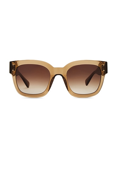 Classic MA Sunglasses