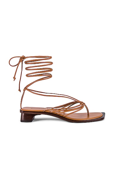 Allegra Lace up Sandals in Tan
