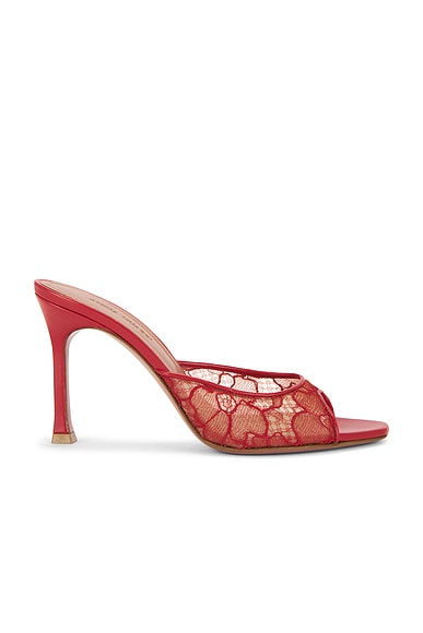AMINA MUADDI Alexa 95 Lace Slipper in Red