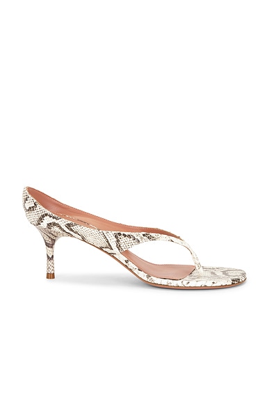 Alexandra 60 Thong Slipper Sandal