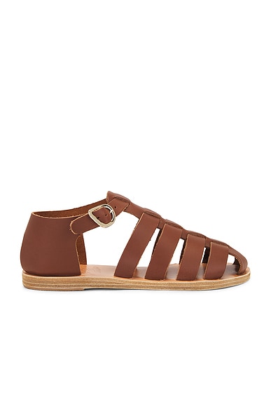 Ancient Greek Sandals Homeria Sandal in Cotto