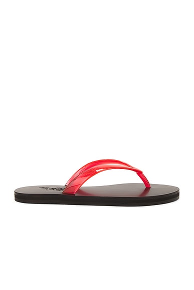 Aquazzura wild thing slides top