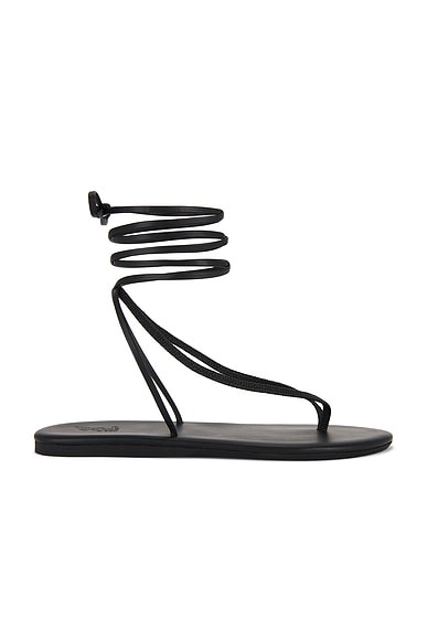 Ancient Greek Sandals Sfendoni Sandal in Black