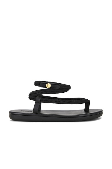 Ancient Greek Sandals Ormi Sandals in Black