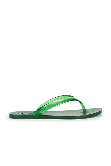 Jelly Flip Flop