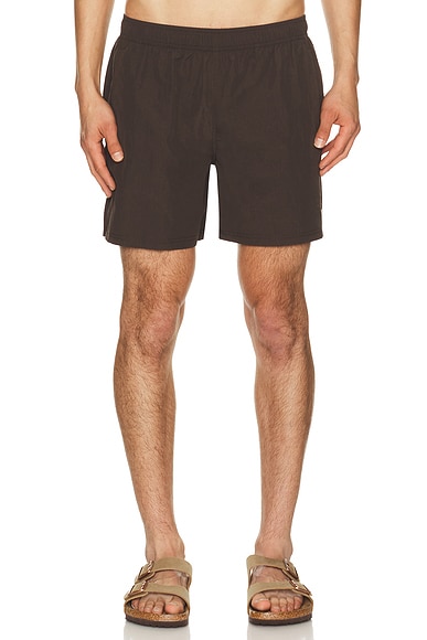 5.5" Solid Sebastian Swim Trunk