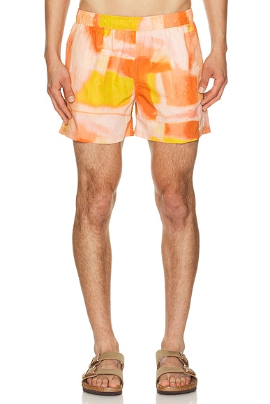 4" Printed Sebastian Swim Trunk