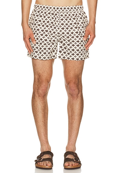 4" Printed Sebastian Swim Trunk