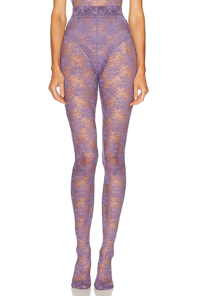 Alex Perry Lace Stocking in Grape