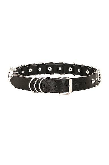 Alessandra Rich Leather Belt In Black