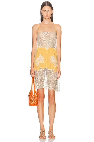 All That Remains Emile Dress in Apricot & Gold