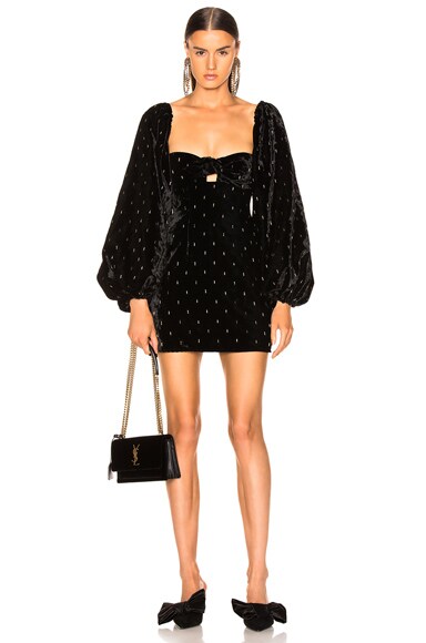 Delicia Embroidered Velvet Mini Dress