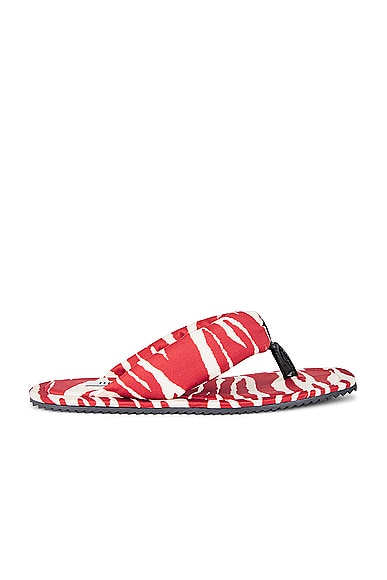 Zebra Printed Indie Flat Thong Sandal in Red
