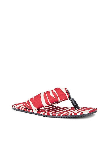 Shop Attico Zebra Printed Indie Flat Thong Sandal In Red & Milk