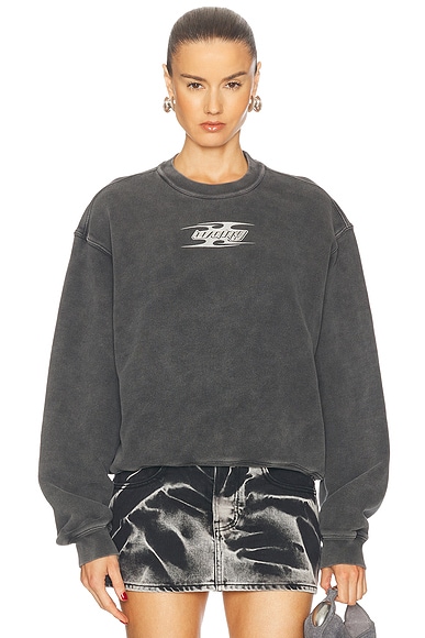 Alexander Wang Crewneck Sweatshirt in Washed Cedar