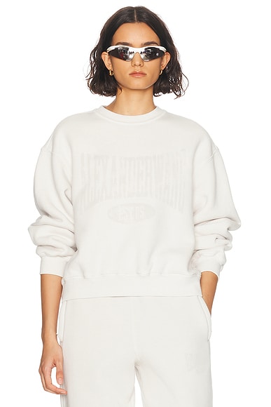Acne Studios Crew Neck Sweatshirt in Dusty Beige | FWRD