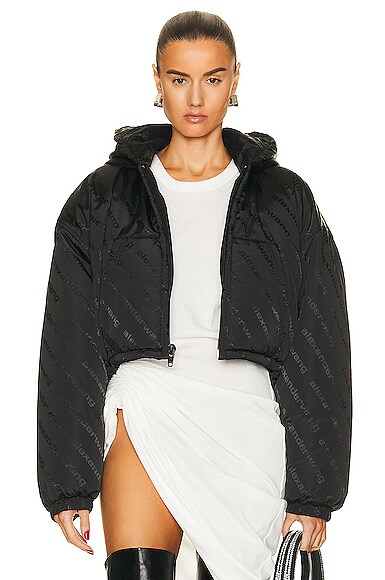 Alexander Wang Matrix Hoodie