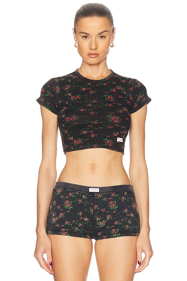 Cropped Short Sleeve Tee