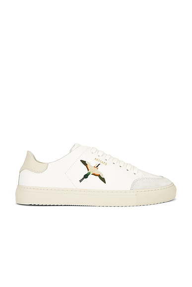 Clean 90 B Bird Sneaker