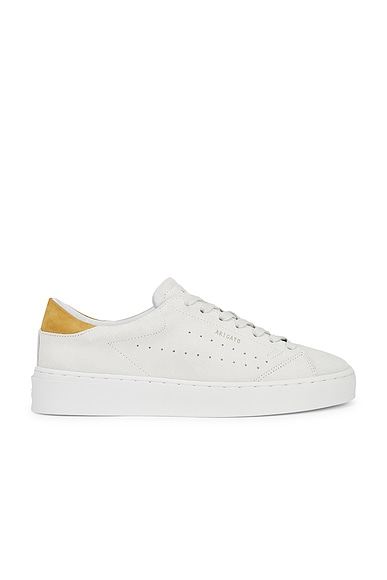Court Suede Sneaker in Light Grey & Brown