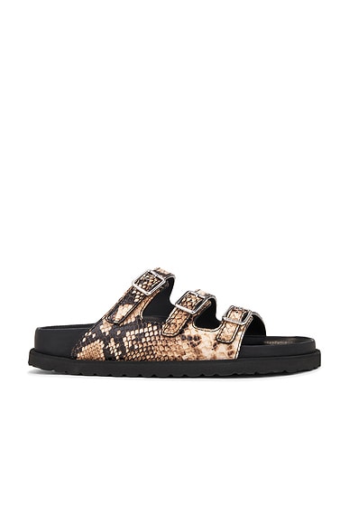Birkenstock 1774 Florida Sandal in Natural Snake