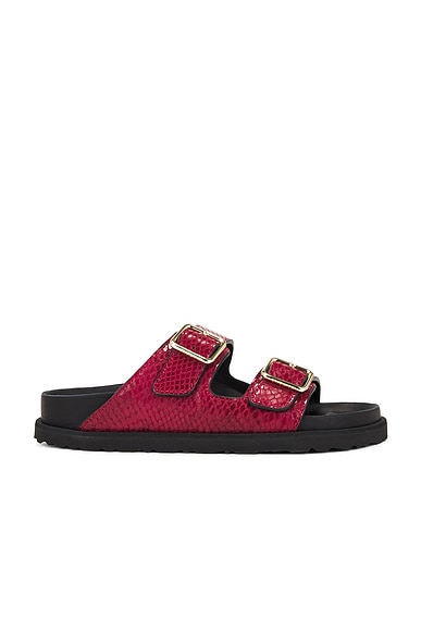 BIRKENSTOCK Arizona Exquisite Sandal in Zinfandel | FWRD