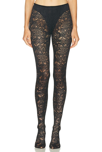 Cassia Lace Stockings