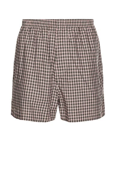 Balenciaga Boxer Shorts in Beige & Black