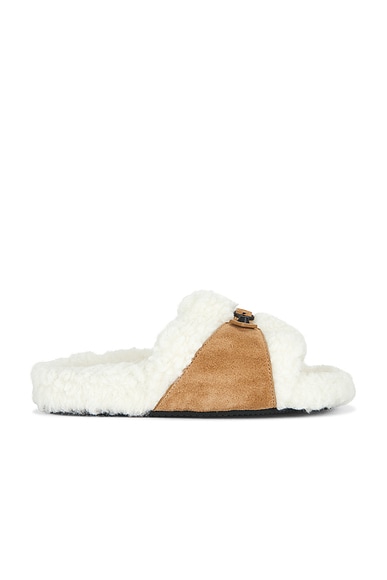 Furry Slide