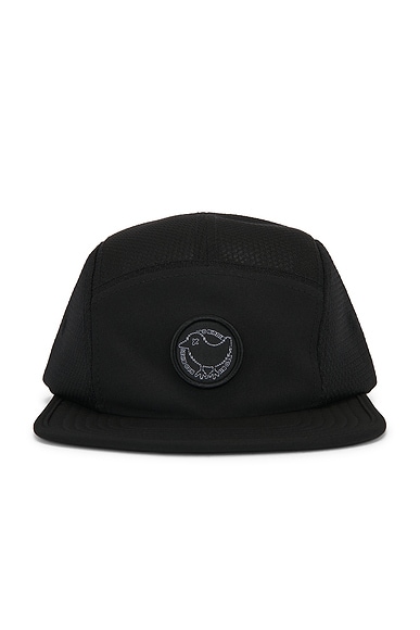 Bad Birdie Prodigy Performance Cap in Black
