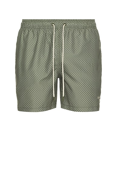 Shell Swim Short