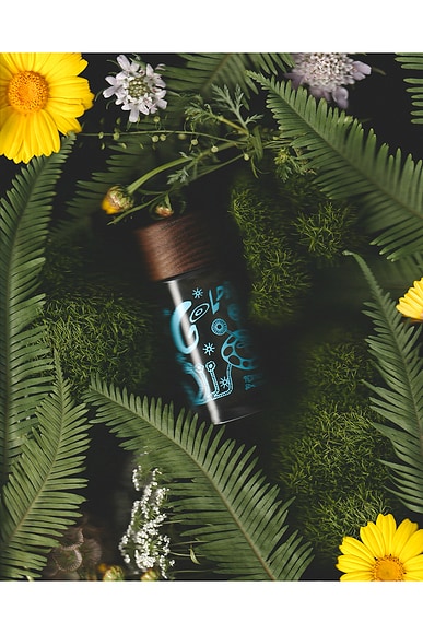 X Jeff Goldblum Goldblooming Perfume