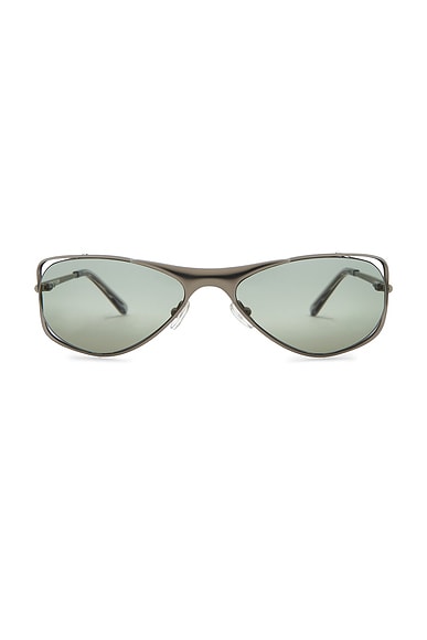 Tommy Sunglasses
