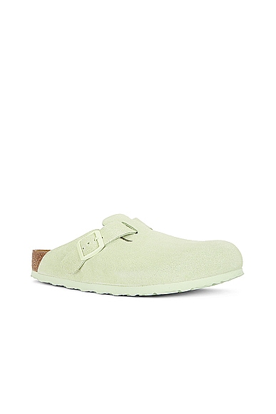 Shop Birkenstock Boston Soft Footbed In Faded Lime