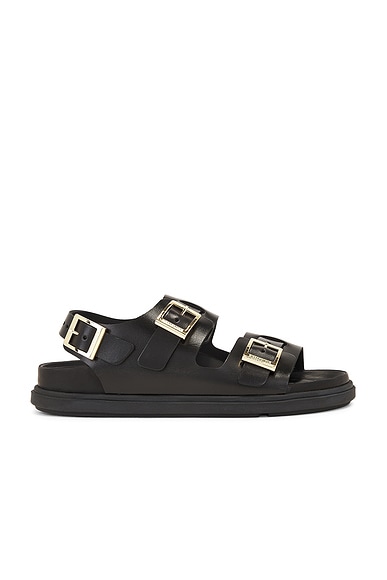 新品未使用】BIRKENSTOCK Cannes 【完売品】