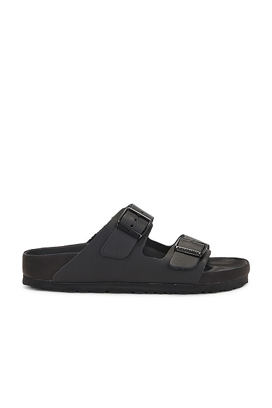 Arizona Exquisite Sandal