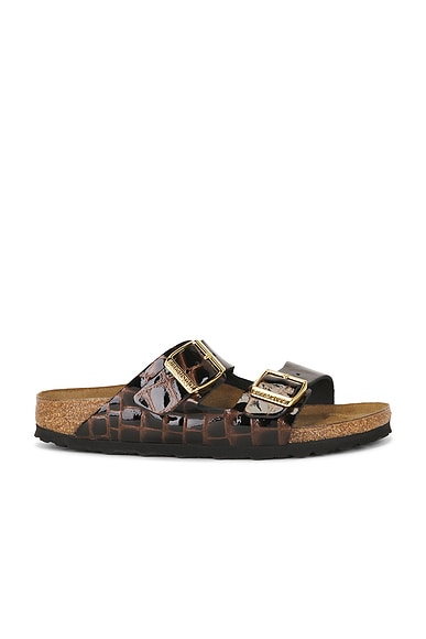 Arizona Croc Embossed Sandal