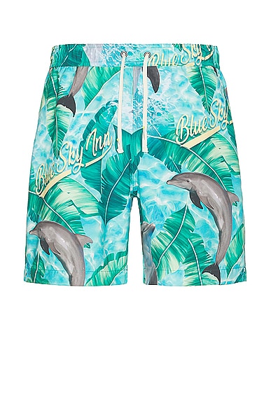 Shop Blue Sky Inn Dolphin Swim Trunks In Blue