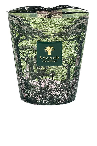 Sacred Trees Touba Signature Candle