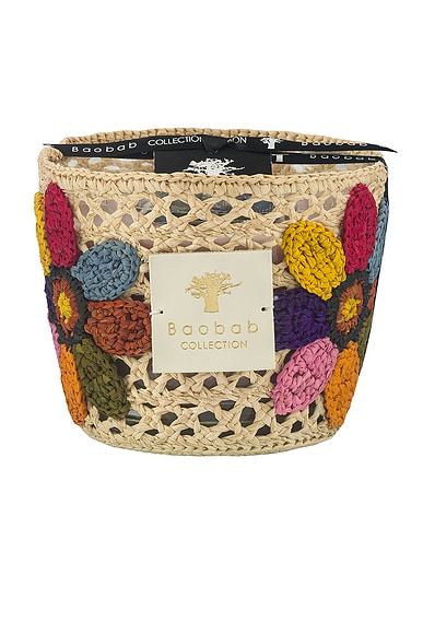 Tournesol Girasol Classique Candle