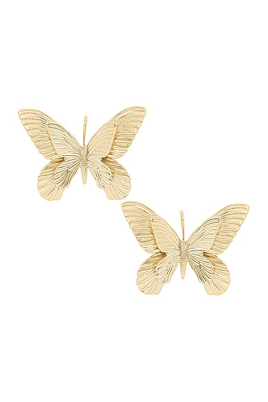 Shop Blumarine Butterfly Earrings In Gold