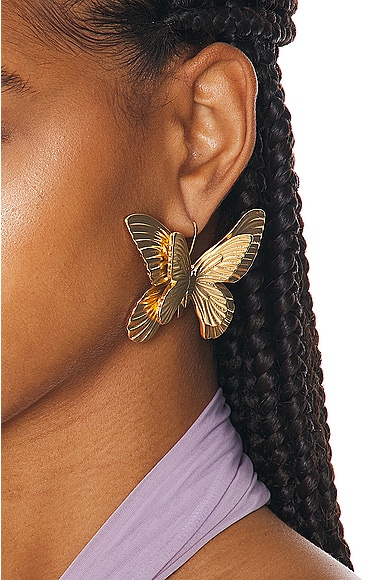 Shop Blumarine Butterfly Earrings In Gold