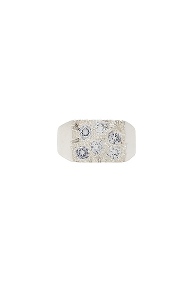 Bleue Burnham Rose Garden Signet in Clear