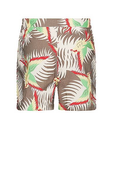 Bode Multicolor Sun Conure Shorts In Multi