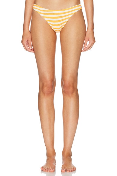 Sign Bikini Brief
