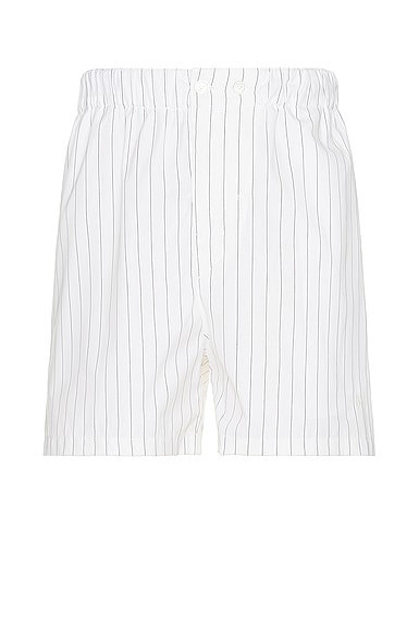 Shop Bottega Veneta Fine Pinstripe Shorts In White & Black