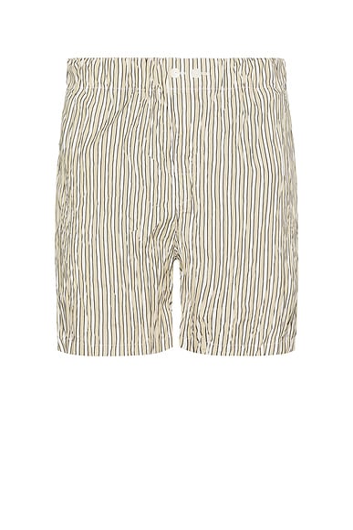 Crushed Tech Cotton Stripe Shorts in Beige, White, & Black