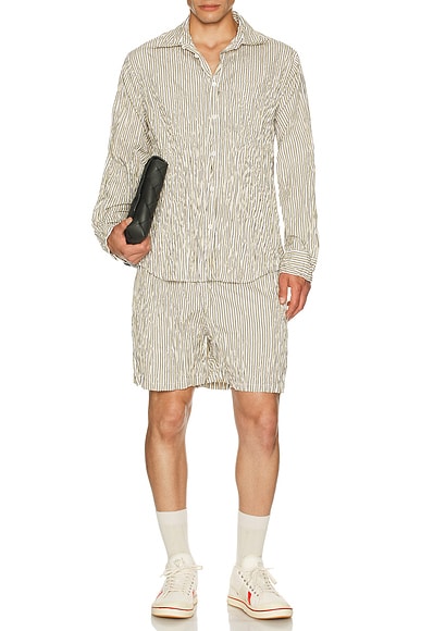 Crushed Tech Cotton Stripe Shorts