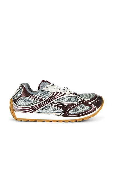 Bottega Veneta Low Top Lace Up Orbit Sneaker in Merlot